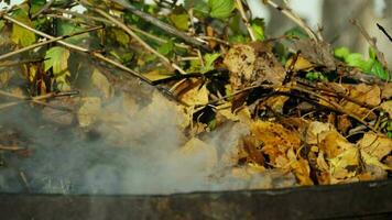 droog herfst bladeren brandwond en emitting grijs rook dat slagen wind en gevaarlijk stoffen, schadelijk onzuiverheden dat vervuilen omgeving. schoonmaak de tuin in de val. video