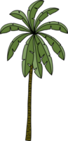 Gekritzel Kokosnuss Baum freihändig Zeichnung. png