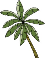 doodle coconut tree freehand drawing. png