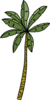 doodle coconut tree freehand drawing. png