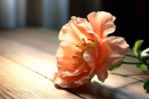 Free photo still life close up of flower indoors made with