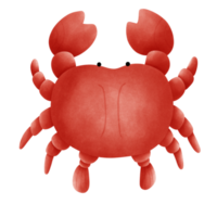 süß und rot Krabbe png