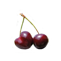 Isolated cherry. Cherry on the transparent background. With clipping path. png