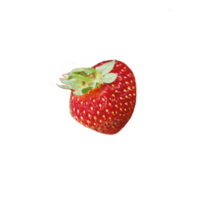 Strawberry isolated. Single strawberry fruit isolated, with clipping path png