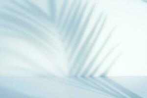 abstract blue background with palm leaf shadow photo