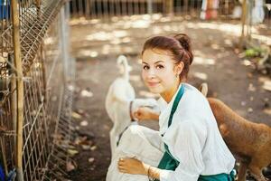 mujer trabajando en animal abrigo foto