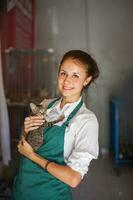 mujer trabajando en animal abrigo foto