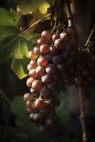 uvas colgando desde un vino en un soleado día, creado con generativo ai foto