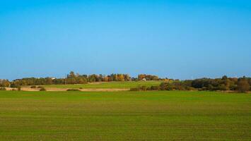 Panoramic view of green grass on slope with blue sky photo