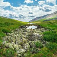 Stone riverbed in the summer Alpine highlands. The riverbed without water, the drought at the summer. The riverbed is paved with stones. photo