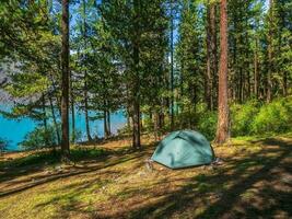 Camping in a shady green forest on the lake shore.Blue tent in a coniferous mountain forest. Peace and relaxation in nature. photo