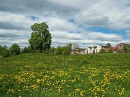 Panoramic view of a summer meadow with a large tree and cottages photo