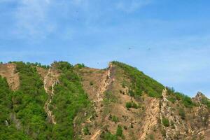 Jagged rocky ridge covered with sparse forest against a blue sky. Minimalistic atmospheric landscape with rocky mountain wall with pointy top in sunny light. Loose stone mountain slopes. photo