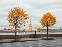 Yellow autumn trees on the granite embankment in St. Petersburg with people walking in autumn. photo