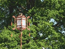 An old Chinese lantern on a green tree background photo