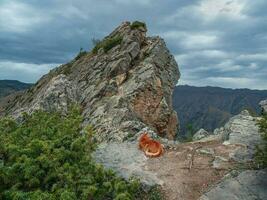 Red-haired contented cat is resting on the top of the mountain. photo