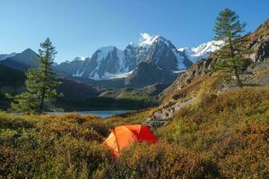 Awesome autumn camping in top of mountain. Lonely orange tent is hidden in a mountain forest among red dwarf birch bushes. Tourism concept adventure voyage outdoor. photo