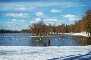 silueta de un madre con un bebé carro en el antecedentes de un lago en un invierno parque foto