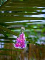 Decorative flask with filler on the background of a palm tree photo