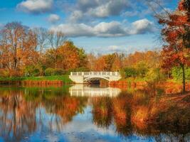 pintoresco otoño paisaje con un estanque. hermosa otoño tierras foto
