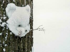 Winter fun a snowtiger on a tree. photo