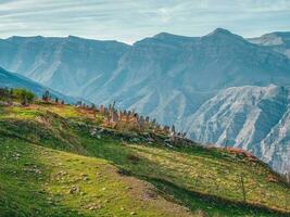 Old cemetery on a hillside against the backdrop of large mountains. Tombstones made of stone. Goor. Russia. Dagestan. photo