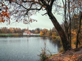 lluvioso Nevado otoño paisaje con un árbol por el lago y un antiguo castillo en el distancia. Gatchina. Rusia foto