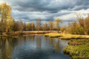 brillante dramático primavera paisaje con un antiguo estanque, arboles en el apuntalar y reflexiones verdor primavera soleado paisaje con antiguo estanque. foto