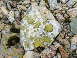 Motley texture of a lichen on a stone in close-up. Multicolor rough stone in sunlight. Natural texture with copy space. Amazing mineral. Piece of rock. photo