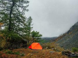 naranja tienda debajo el nieve con lluvia. cámping en un otoño alta altitud meseta. paz y relajación en naturaleza. Superior shavlin lago en el altai. foto