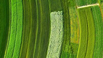 Top down view of decorative ornaments of diverse green fields. Suloszowa, Poland video