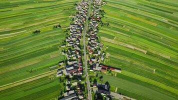aereo Visualizza di decorativo ornamenti di diverso verde i campi e case disposte nel un' linea lungo il strada. pittoresco paesaggio, agricoltura. suloszowa, Polonia video