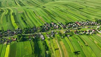 Aerial view of decorative ornaments of diverse green fields and houses arranged in a line along the road. Picturesque landscape, agriculture. Suloszowa, Poland video