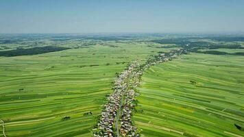 aérien vue de décoratif ornements de diverse vert des champs et Maisons arrangé dans une ligne le long de le route. pittoresque paysage, agriculture. suloszowa, Pologne video