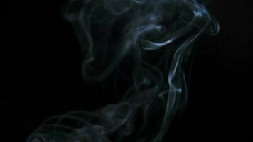 Abstract smoke rises up in beautiful swirls on black background. video