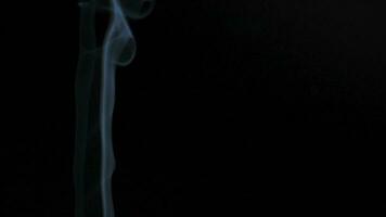 Abstract smoke rises up in beautiful swirls on black background. video