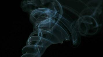 abstrakt rök stiger upp i skön virvlar på svart bakgrund. video