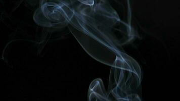 Abstract smoke rises up in beautiful swirls on black background. video