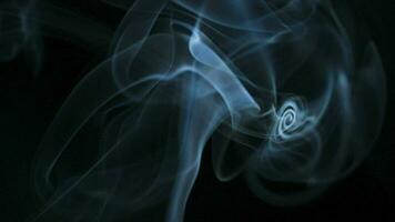 abstrakt rök stiger upp i skön virvlar på svart bakgrund. video