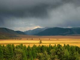 Stormy dark clouds over a mountain valley. Dark atmospheric landscape with steppe in highlands. Mountains and bright golden field among low clouds. Beautiful cloudy rainy weather in mountains. photo