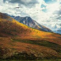 Minimalist autumn landscape with  sunlit orange mountainside on photo