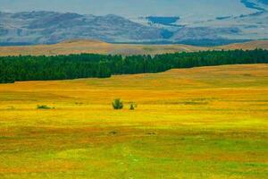 Bright natural minimalistic landscape with a spring multicolored field with mountains in the background. Natural background of the mountain steppe. photo