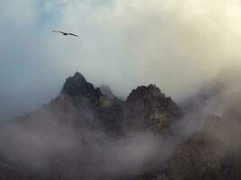 Horror mountain shadows. Dramatic fog among giant rocky mountains. Ghostly atmospheric view to big cliff in cloudy sky. Low clouds and beautiful rockies. Minimalist scenery mysterious place photo