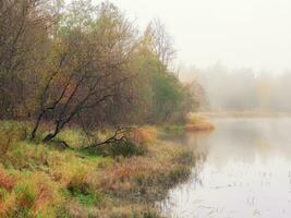 Mystical morning landscape with fog over the lake. Soft focus photo