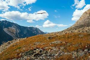 Rocky mountain slope, wonderful alpine landscape with orange autumn hill on foot of rocky mountain in sunshine. Motley mountain scenery with gray rocks photo