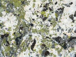 Motley texture of a lichen on a stone in close-up. Multicolor rough stone in sunlight. Natural texture with copy space. Amazing mineral. Piece of rock. photo