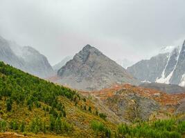 rocoso montaña Valle con Mañana niebla. tierras altas Valle entre cubierto de nieve montaña rango y puntiagudo pico debajo dramático cielo. atmosférico montaña escenario. foto