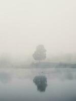 Mystical morning landscape with fog over the lake. Soft focus photo