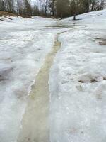 Erosion from flood waters. Spring stream. Snow washed away by a stream. Vertical view photo