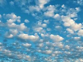 Blue sky with many small cumulus clouds. photo